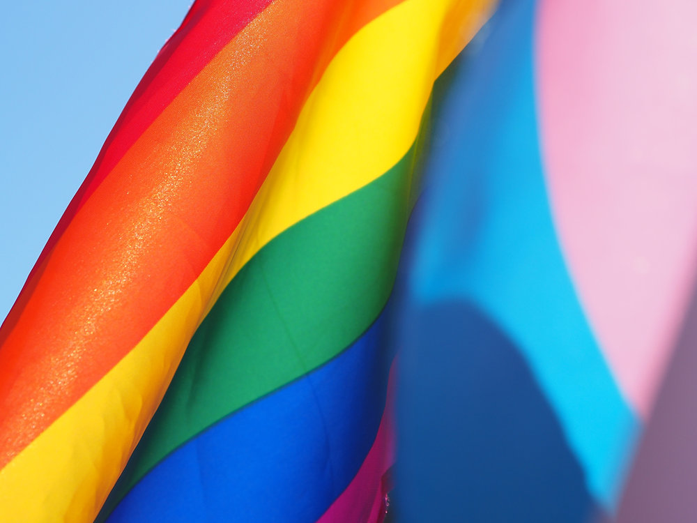 Construir connexions: com Himoon ajuda les persones LGBTQ a conèixer gent nova