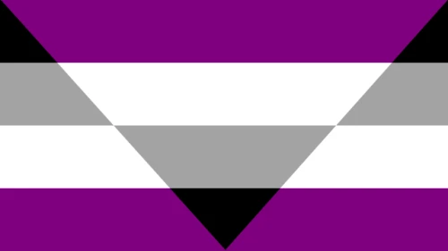Aegosexual pride flag