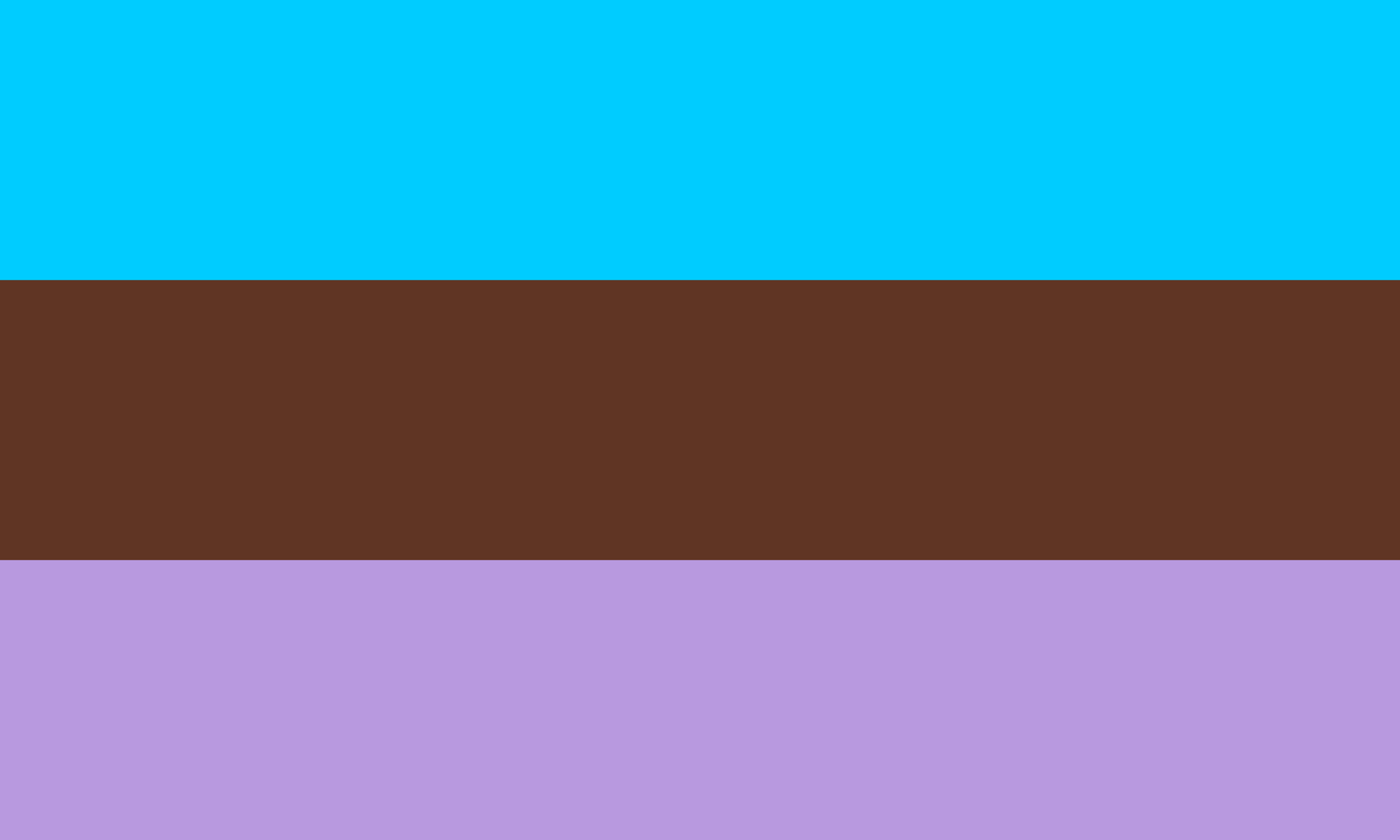 Androsexual pride flag