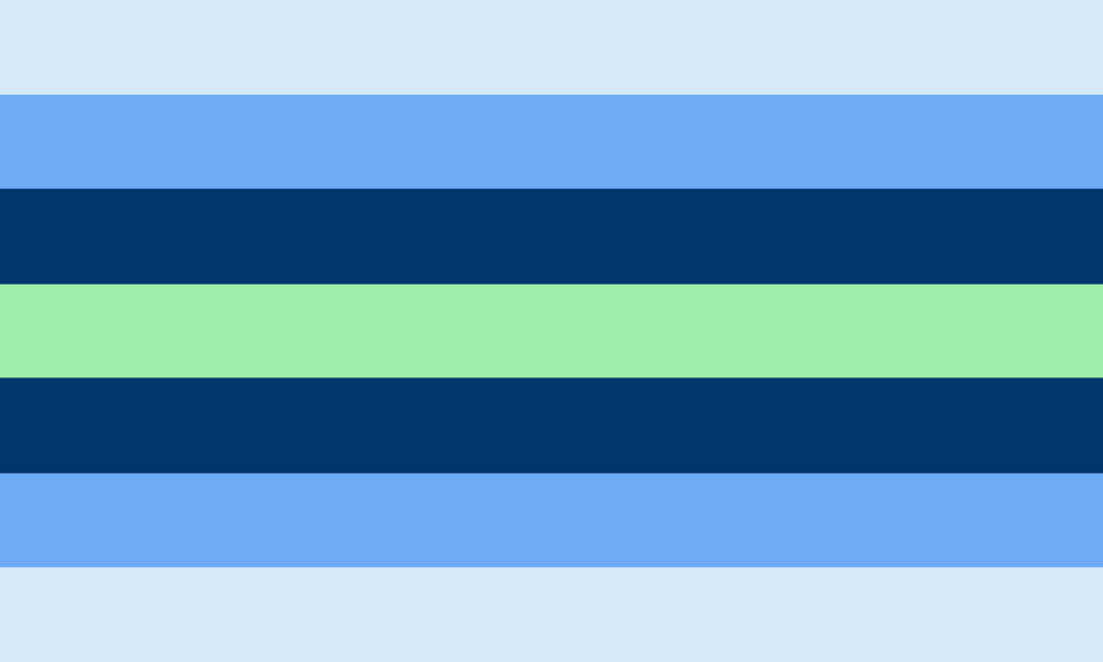Boyflux pride flag