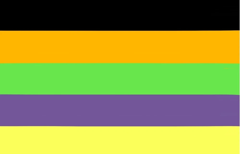 Chronogender pride flag